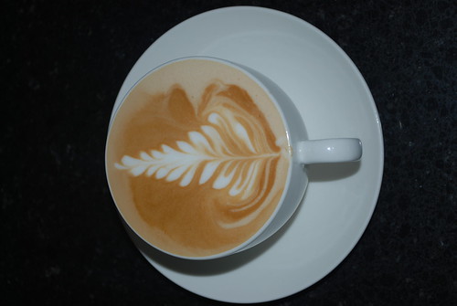 Latte Art – a fern