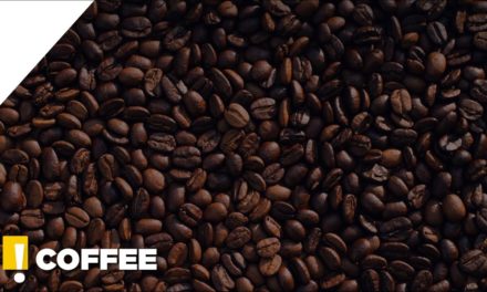 Facts About Coffee – You Probably Didn’t Know