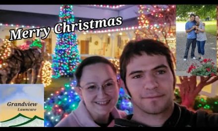 Vlog #22 | Week In The Life, Christmas Light Parade