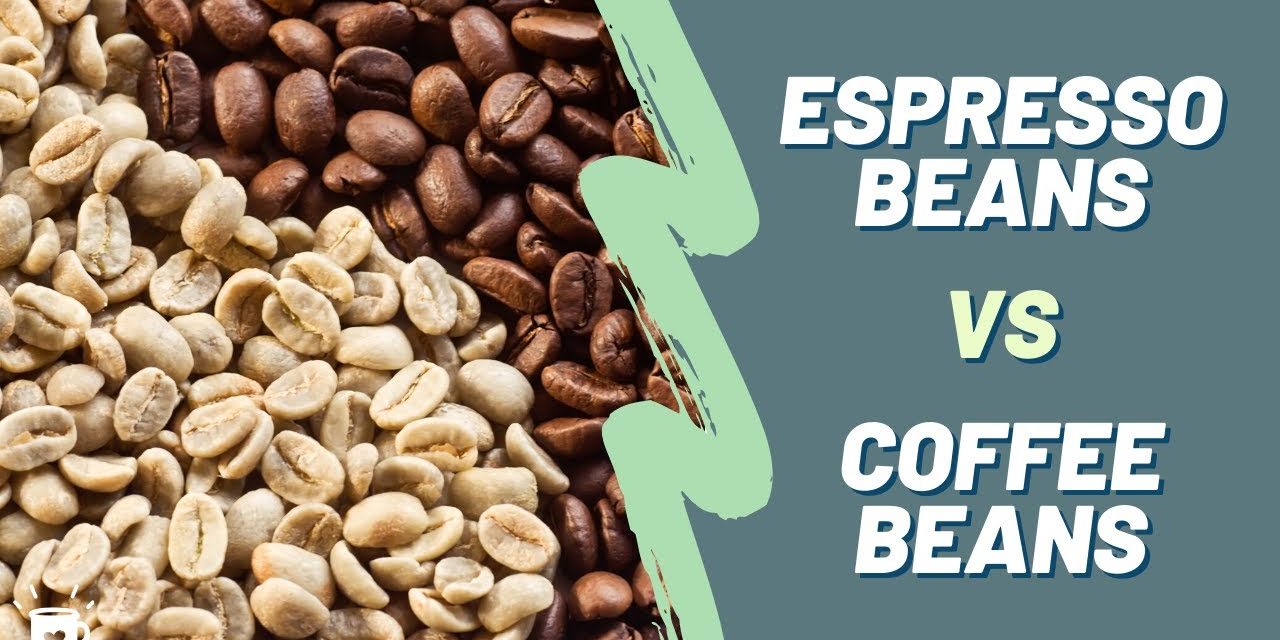 Espresso Beans VS. Coffee Beans | What's the Difference?